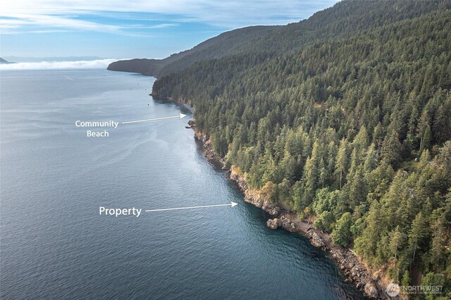 2760 Raccoon Point Rd, Orcas Island, WA 98245 - photo 26