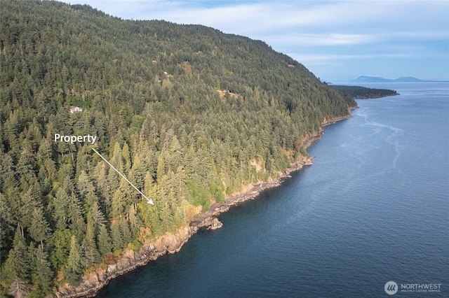 2760 Raccoon Point Rd, Orcas Island, WA 98245 - photo 27
