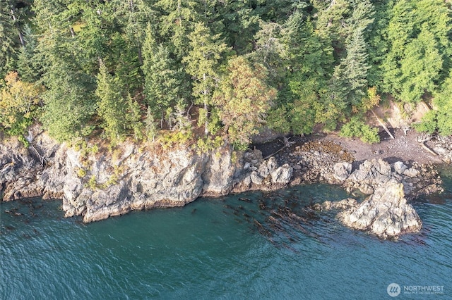 2760 Raccoon Point Rd, Orcas Island, WA 98245 - photo 28