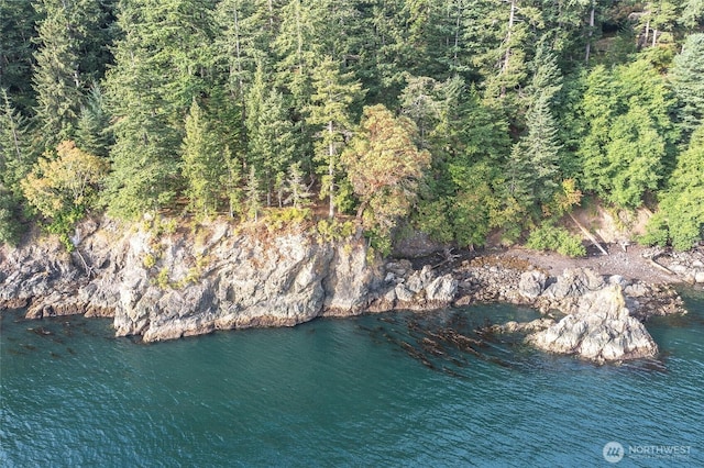 2760 Raccoon Point Rd, Orcas Island, WA 98245 - photo 29