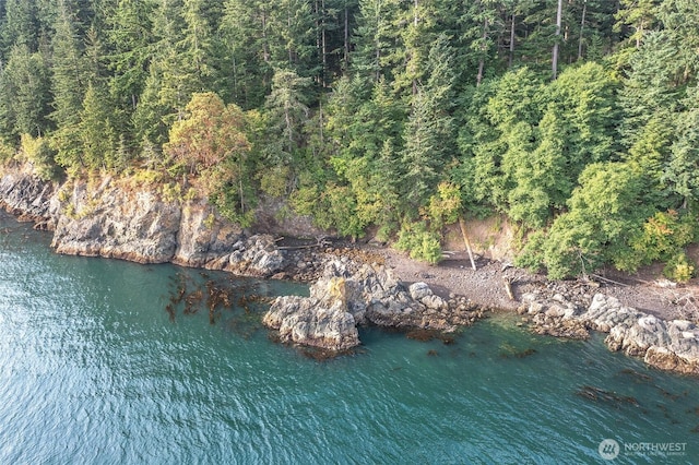 2760 Raccoon Point Rd, Orcas Island, WA 98245 - photo 30