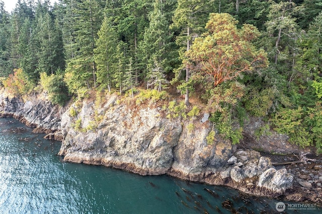 2760 Raccoon Point Rd, Orcas Island, WA 98245 - photo 31