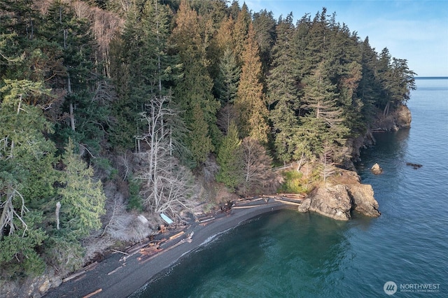 2760 Raccoon Point Rd, Orcas Island, WA 98245 - photo 35