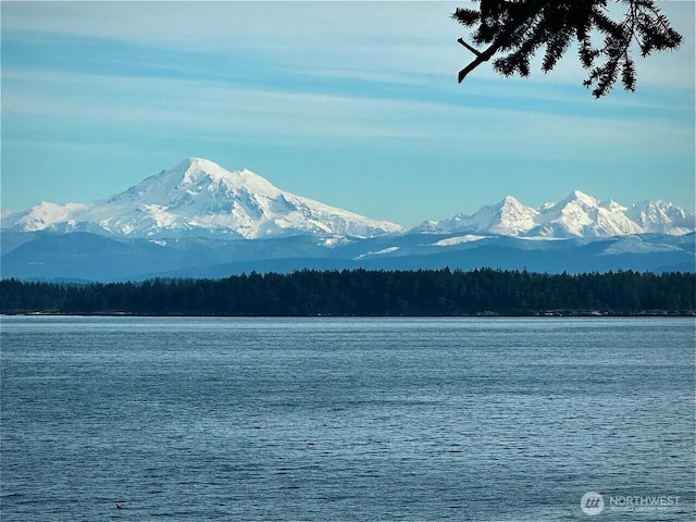 2760 Raccoon Point Rd, Orcas Island, WA 98245 - photo 37