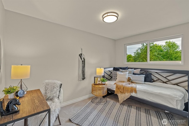 10141 NE 202nd St, Bothell, WA 98011 - photo 20