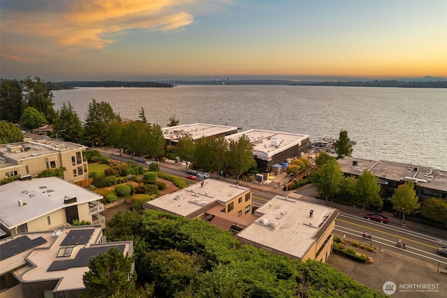 832 Lake St S, Kirkland, WA 98033 - photo 4