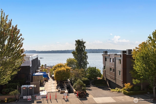 832 Lake St S, Kirkland, WA 98033 - photo 9