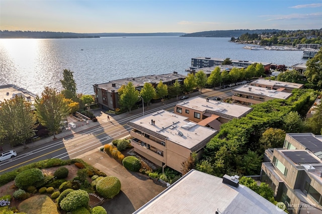 832 Lake St S, Kirkland, WA 98033 - photo 1