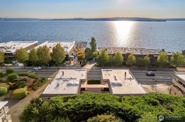 832 Lake St S, Kirkland, WA 98033 - photo 2