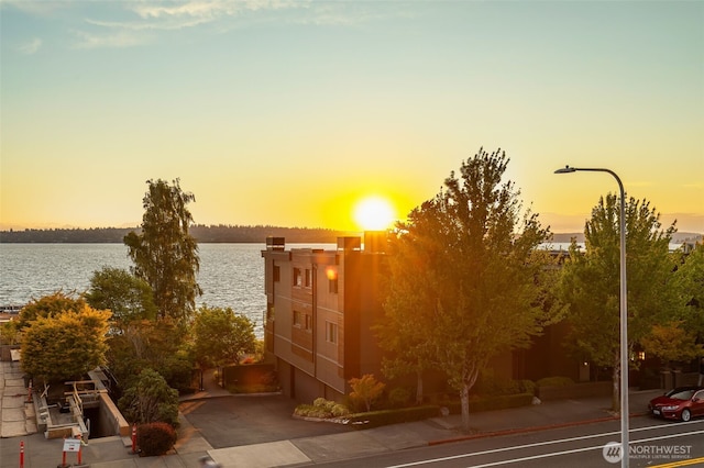 832 Lake St S, Kirkland, WA 98033 - photo 36