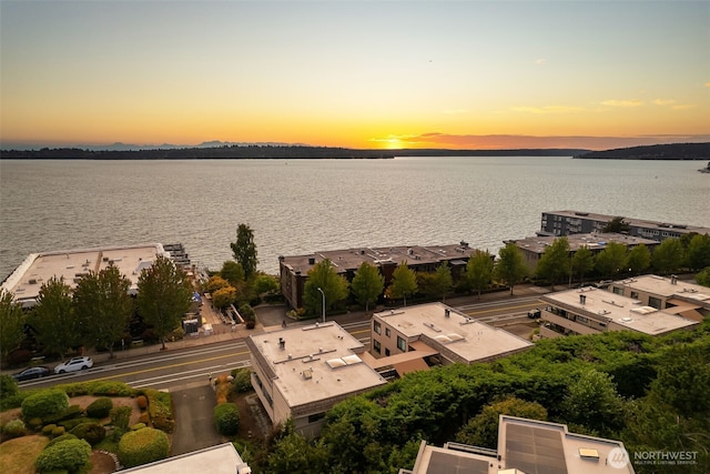 832 Lake St S, Kirkland, WA 98033 - photo 3