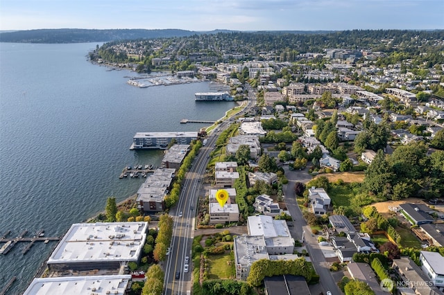 832 Lake St S, Kirkland, WA 98033 - photo 39