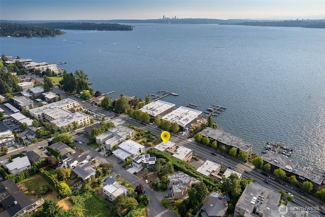 832 Lake St S, Kirkland, WA 98033 - photo 40