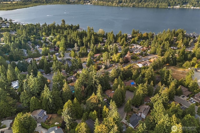 17613 NE 31st Pl, Redmond, WA 98052 - photo 38
