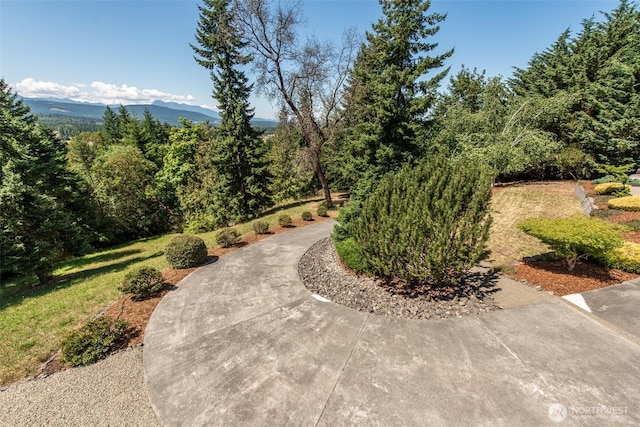 1185 Fox Hollow Rd, Sequim, WA 98382 - photo 39