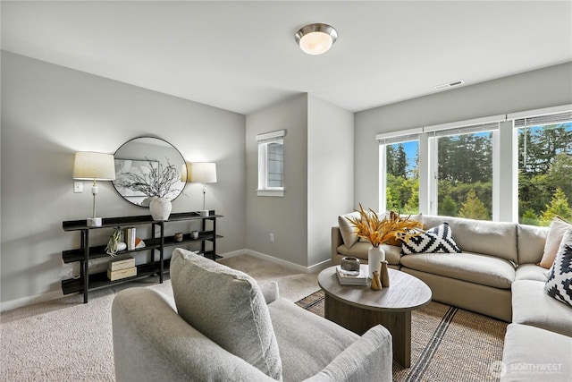 17509 131st St SE, Snohomish, WA 98290 - photo 24