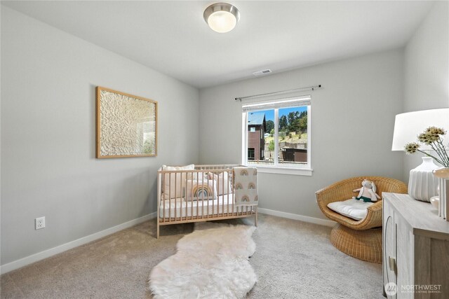 17509 131st St SE, Snohomish, WA 98290 - photo 26