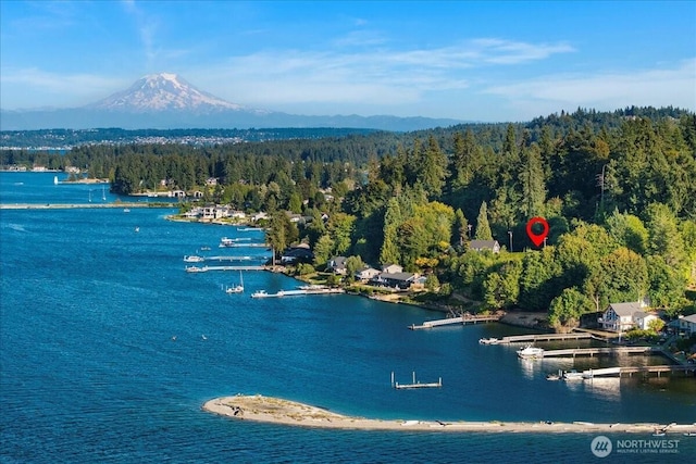 115 Bella Bella Dr, Fox Island, WA 98333 - photo 1