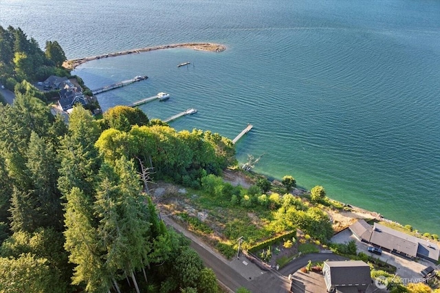 115 Bella Bella Dr, Fox Island, WA 98333 - photo 3