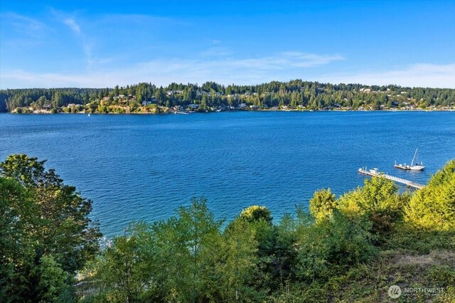115 Bella Bella Dr, Fox Island, WA 98333 - photo 4