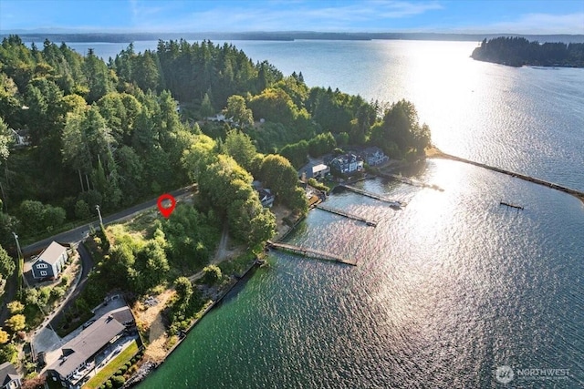 115 Bella Bella Dr, Fox Island, WA 98333 - photo 5