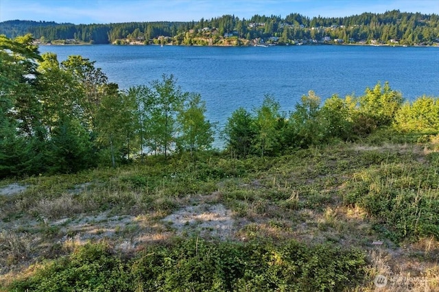 115 Bella Bella Dr, Fox Island, WA 98333 - photo 9