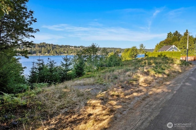 115 Bella Bella Dr, Fox Island, WA 98333 - photo 10