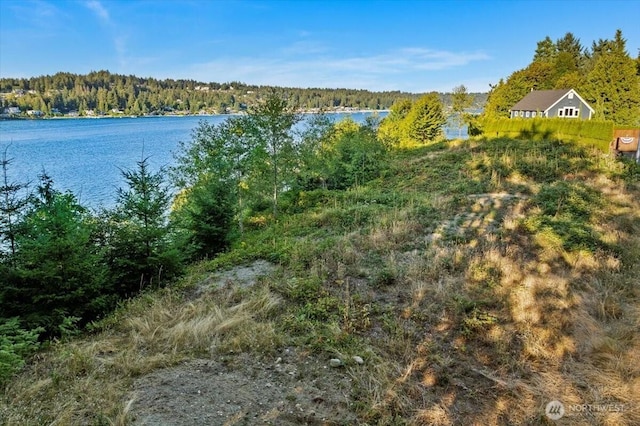 115 Bella Bella Dr, Fox Island, WA 98333 - photo 11