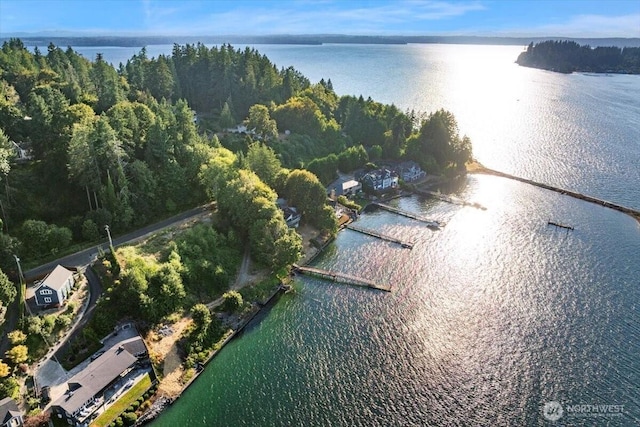 115 Bella Bella Dr, Fox Island, WA 98333 - photo 14