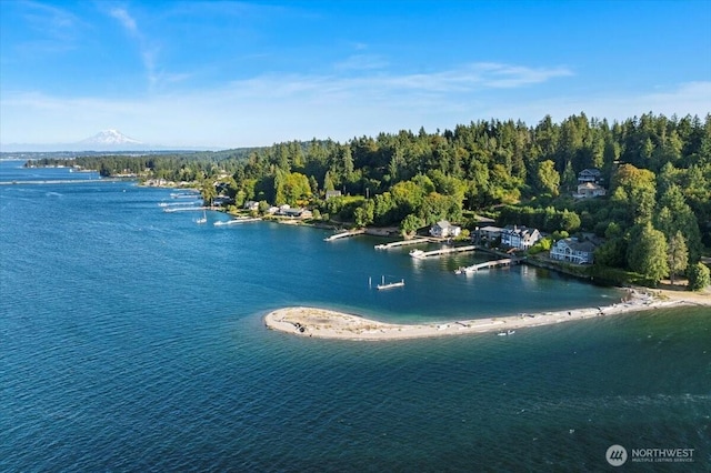115 Bella Bella Dr, Fox Island, WA 98333 - photo 17