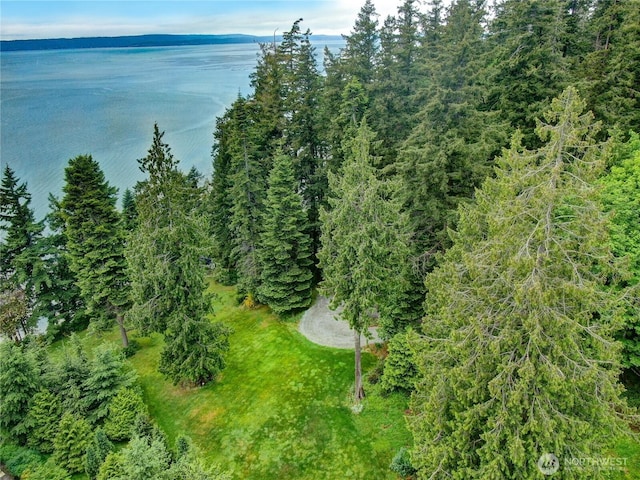 16818 Marine Dr, Stanwood, WA 98292 - photo 38