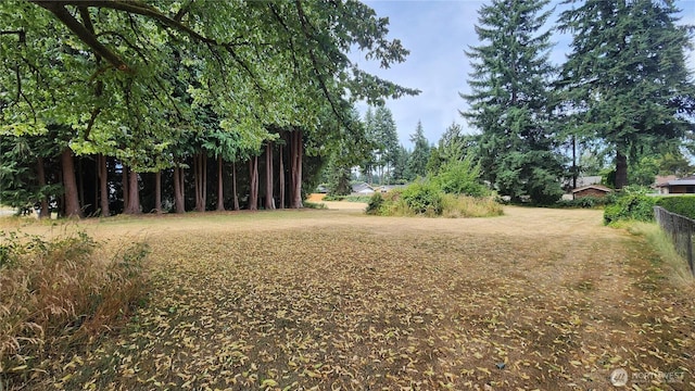 301 Dennis St SW, Tumwater, WA 98501 - photo 29