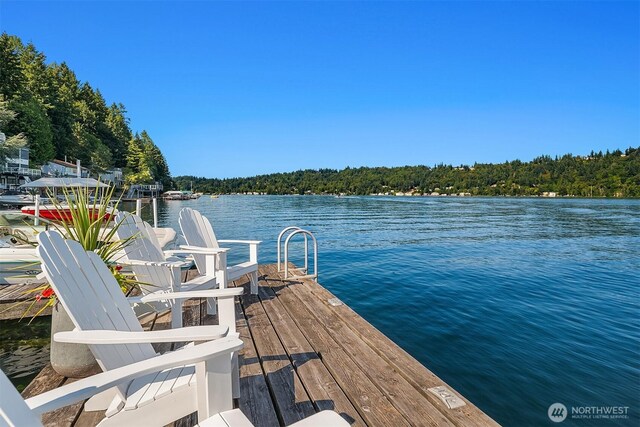 1814 W Lake Sammamish Pkwy NE, Bellevue, WA 98008 - photo 3