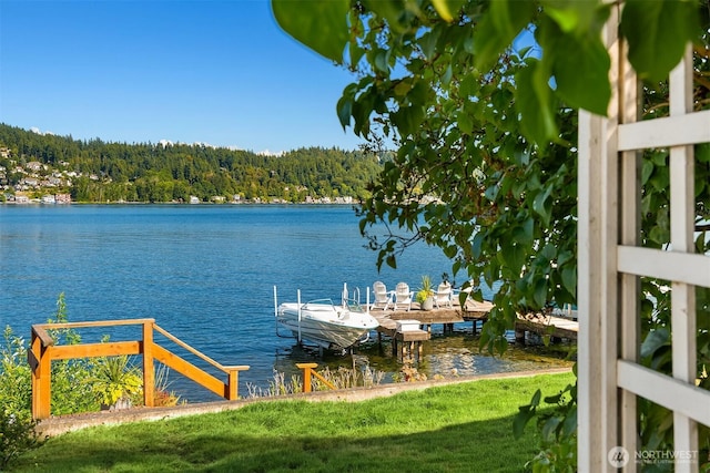 1814 W Lake Sammamish Pkwy NE, Bellevue, WA 98008 - photo 29