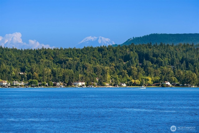 1814 W Lake Sammamish Pkwy NE, Bellevue, WA 98008 - photo 12