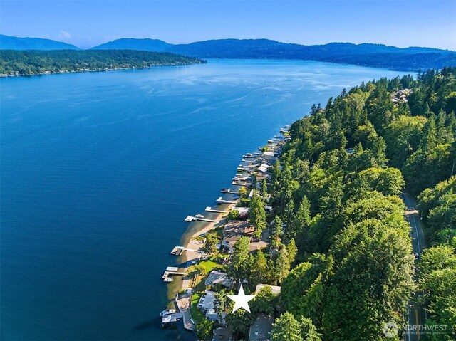1814 W Lake Sammamish Pkwy NE, Bellevue, WA 98008 - photo 37