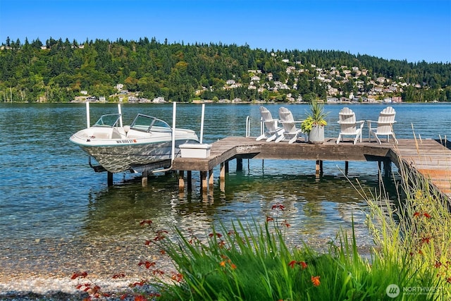 1814 W Lake Sammamish Pkwy NE, Bellevue, WA 98008 - photo 32