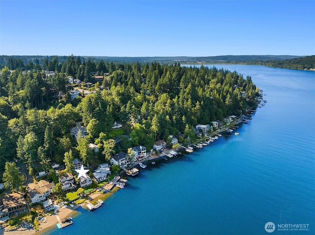 1814 W Lake Sammamish Pkwy NE, Bellevue, WA 98008 - photo 38