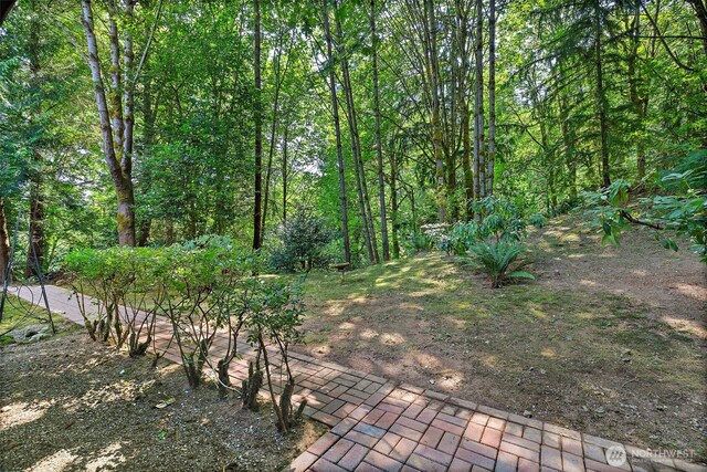 1080 Ridgewood Cir SW, Issaquah, WA 98027 - photo 30