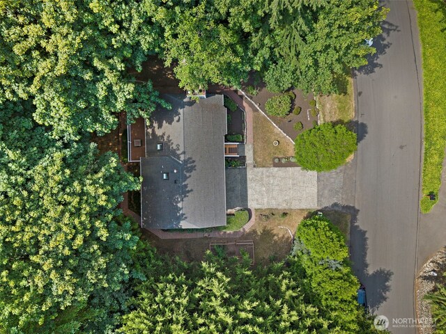 1080 Ridgewood Cir SW, Issaquah, WA 98027 - photo 31