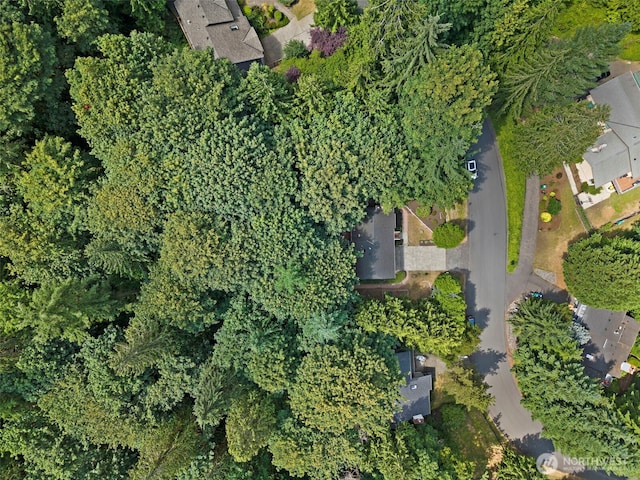 1080 Ridgewood Cir SW, Issaquah, WA 98027 - photo 32