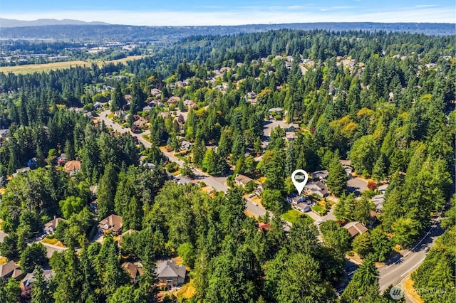 10331 184th Ave NE, Redmond, WA 98052 - photo 40