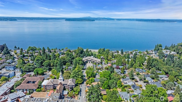 7019 47th Ave SW Unit 18, Seattle, WA 98136 - photo 30