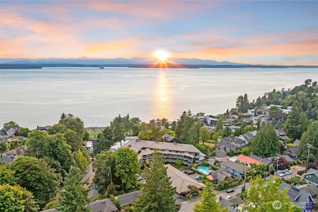 7019 47th Ave SW Unit 18, Seattle, WA 98136 - photo 32