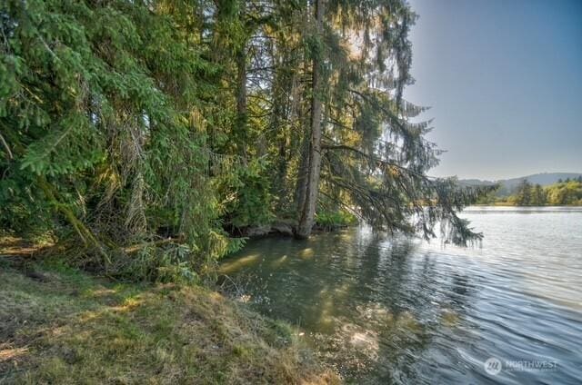 935 Delphi Rd SW, Olympia, WA 98512 - photo 28