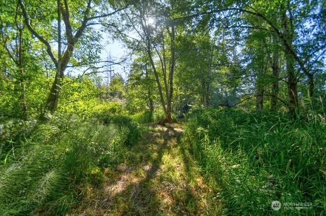 935 Delphi Rd SW, Olympia, WA 98512 - photo 26