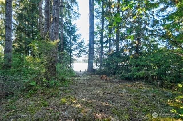 935 Delphi Rd SW, Olympia, WA 98512 - photo 27