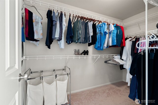 20904 SE 5th St, Sammamish, WA 98074 - photo 25