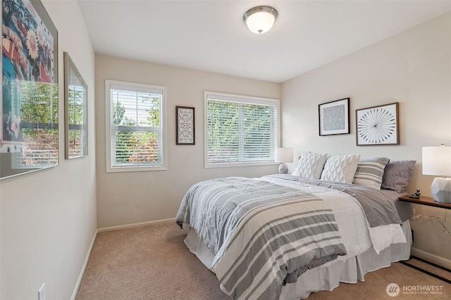 20904 SE 5th St, Sammamish, WA 98074 - photo 27