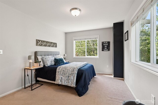 20904 SE 5th St, Sammamish, WA 98074 - photo 28